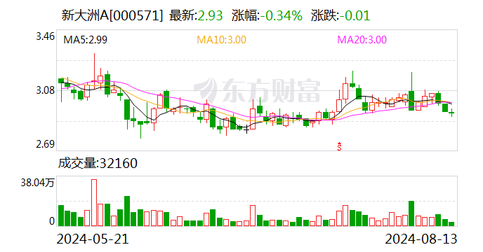 新大洲A：收到《税收保全措施决定书》